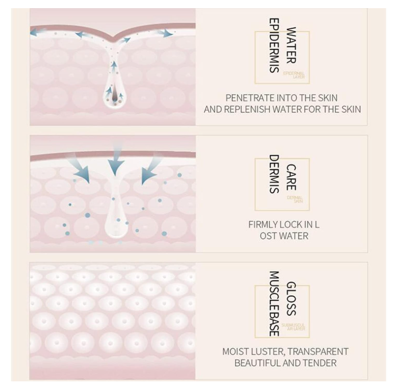 Diagram of skin layers with water droplets and text on a beige background